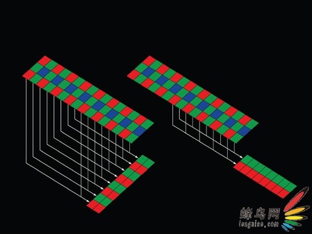 PG电子EOS 数码系统测试 EOS-1Ds MarkII(中)(图1)