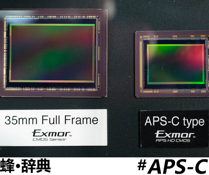 PG电子最新网站入口【蜂·辞典】APS-C：数码相机的中流砥柱(图1)