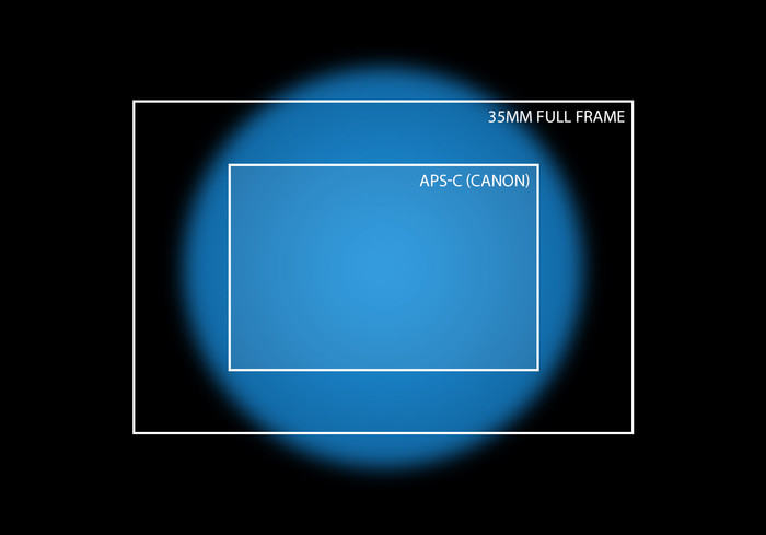 PG电子最新网站入口【蜂·辞典】APS-C：数码相机的中流砥柱(图4)