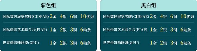 PG电子(中国)官方网站总金奖7万+2023第九届中国国际数码摄影艺术展征稿启动(图2)