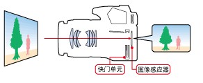 PG电子(中国)官方网站数码单反相机的实时显示拍摄功能是什么(图1)